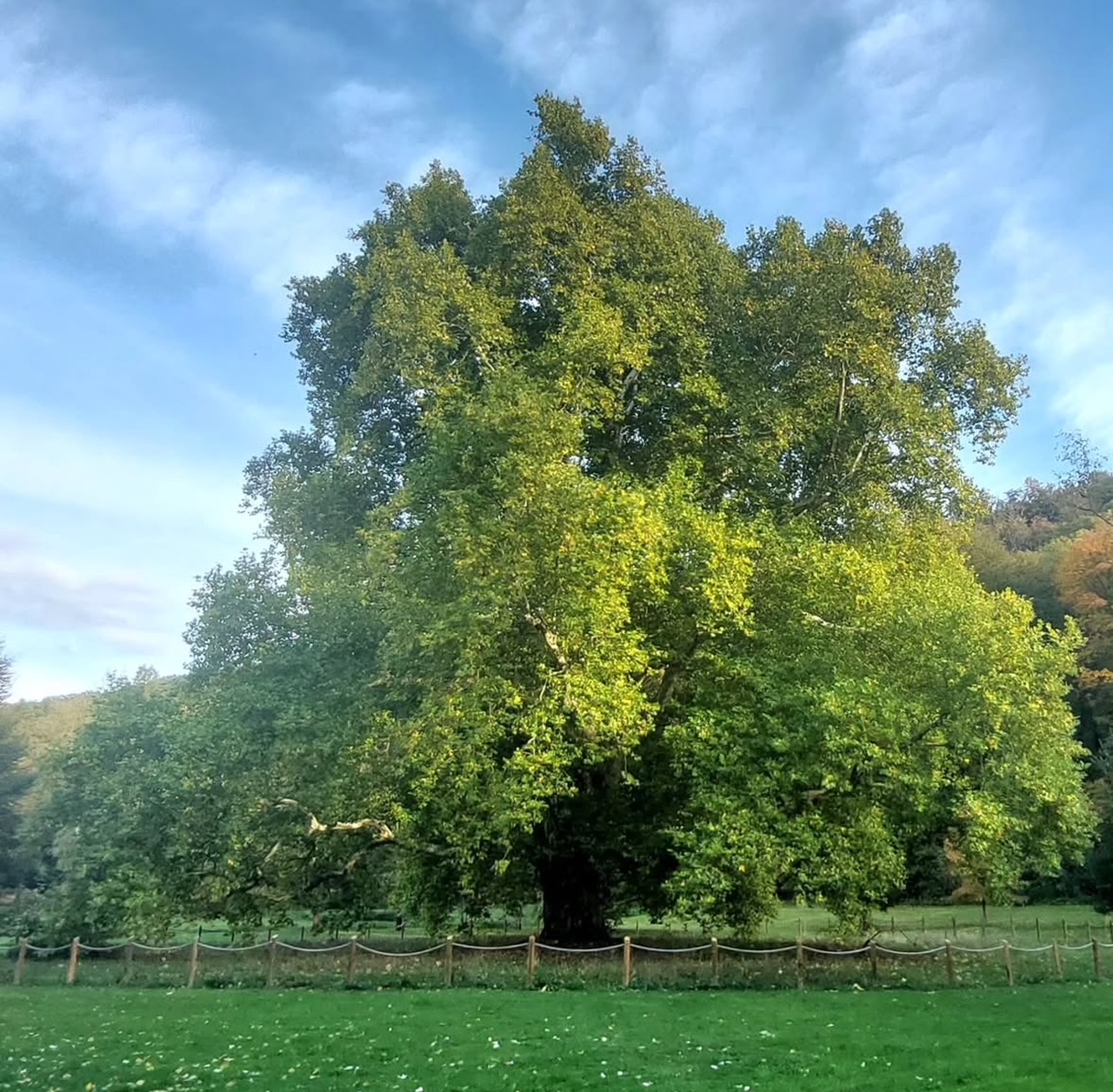  Hier sollte jetzt ein Bild sein.